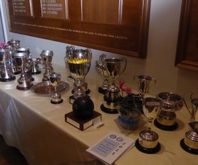 Cups & Trophies